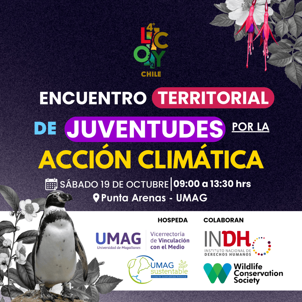 Afiche Encuentro LCOY Afiche Encuentro LCOY
