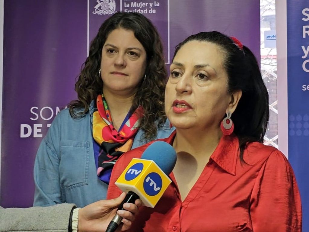 Pauta Ley IVE Pauta Ley IVE