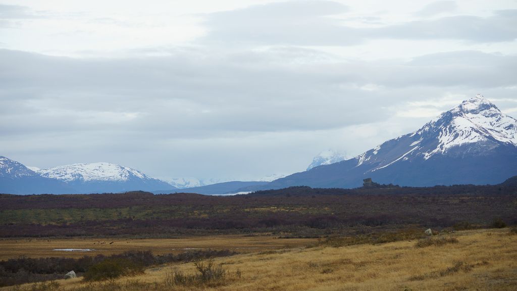 bonoscarbonoestepamagallanes