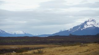 bonoscarbonoestepamagallanes bonoscarbonoestepamagallanes