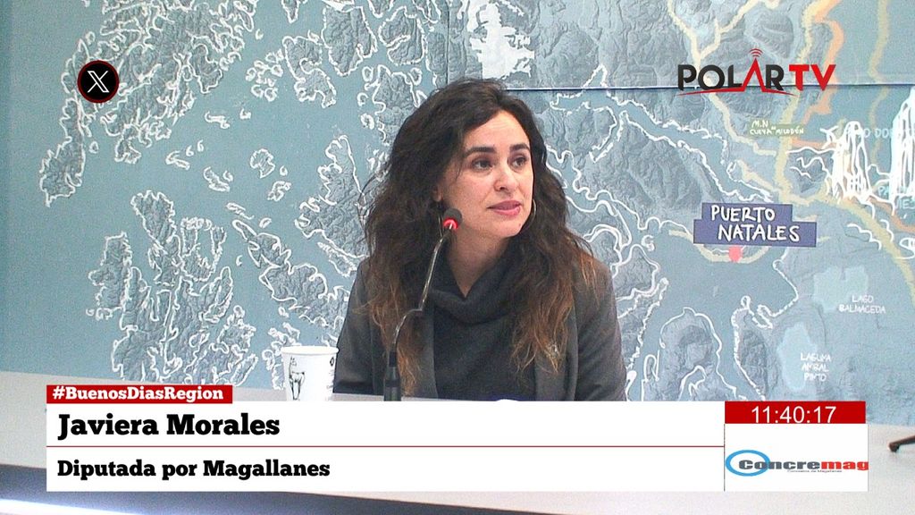 diputadamorales diputadamorales
