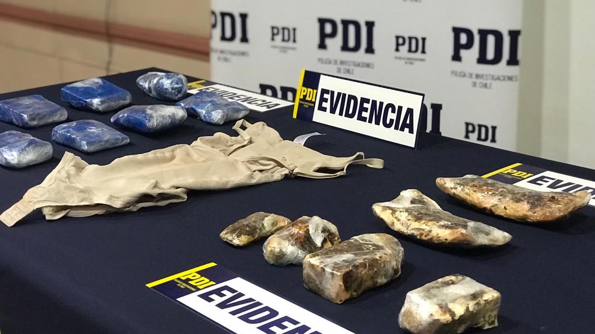 pdi magallanes expulsión droga pdi magallanes expulsión droga
