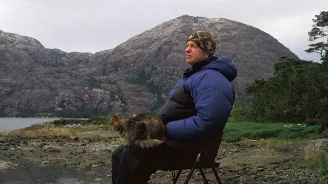 bobkullcat