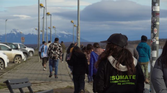 faenatales faenatales