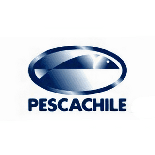 BANNER-PESCACHILE336X336 BANNER-PESCACHILE336X336