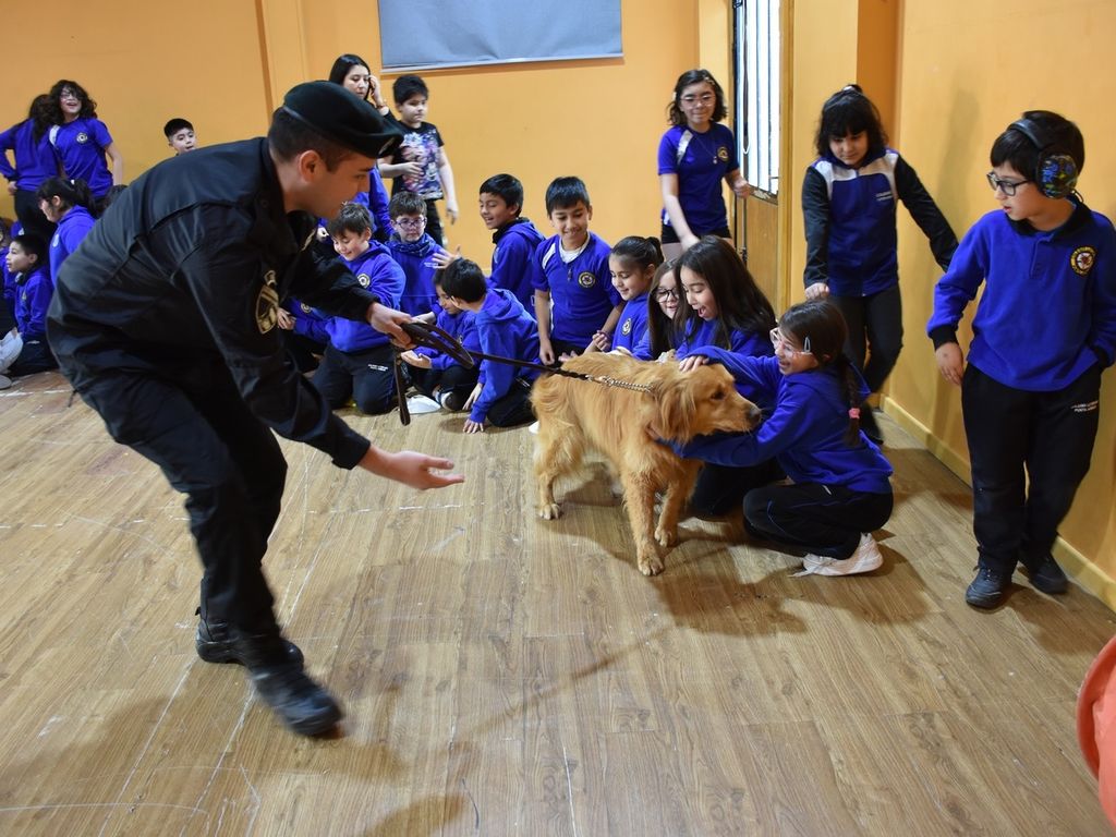 colegio luterano 1 colegio luterano 1