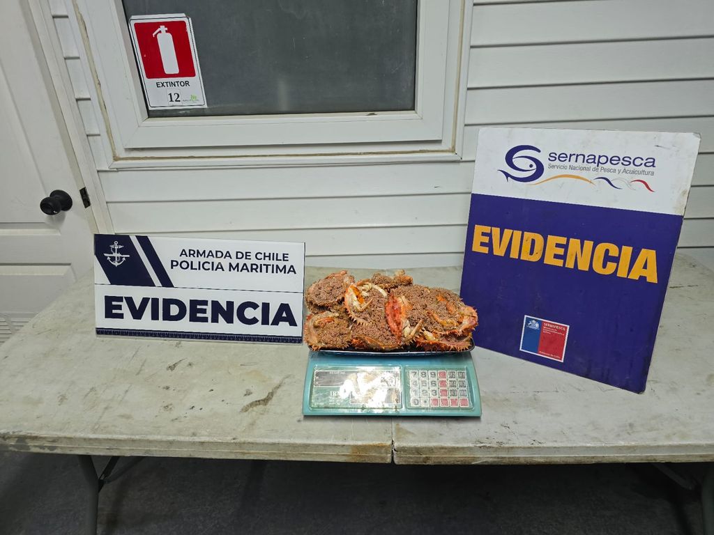 fiscalizacionescaperecursos fiscalizacionescaperecursos