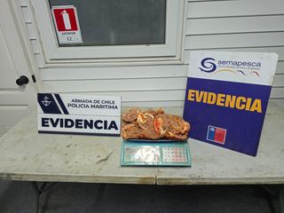 fiscalizacionescaperecursos