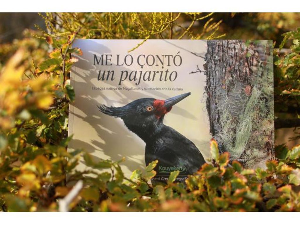 ASOCIACIÓN KAUYEKEN PRESENTA LIBRO «ME LO CONTÓ UN PAJARITO» ASOCIACIÓN KAUYEKEN PRESENTA LIBRO «ME LO CONTÓ UN PAJARITO»
