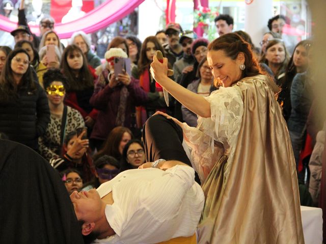 romanceobrapuqcultura romanceobrapuqcultura