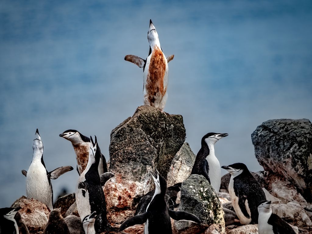 A_136390945_2 A_136390945_2