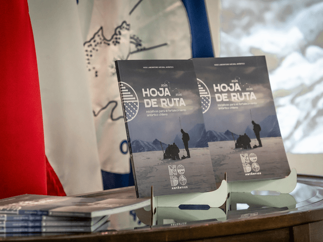 Hojaderuta_2