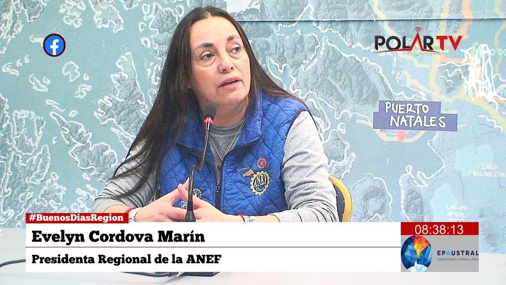 anefmagallanes anefmagallanes