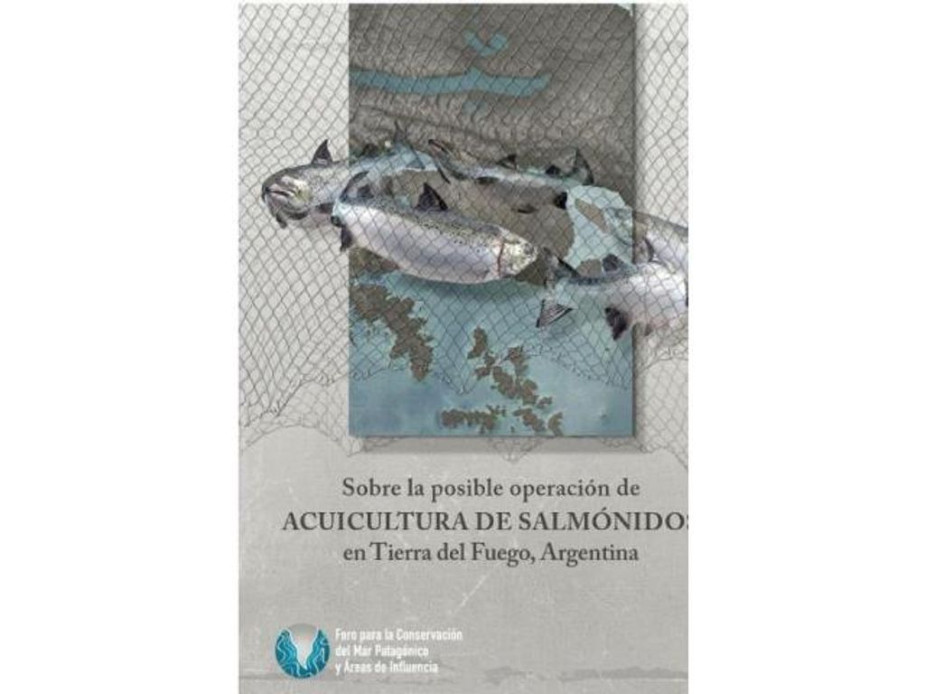 LOS “SALMONES ZOMBIE” QUE PRETENDEN LLEGAR A TIERRA DEL FUEGO LOS “SALMONES ZOMBIE” QUE PRETENDEN LLEGAR A TIERRA DEL FUEGO