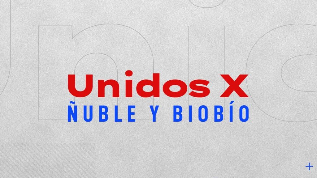 Unidos por Ñuble y Biobio