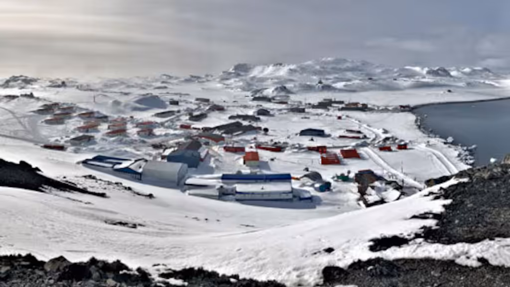 violacionantartica