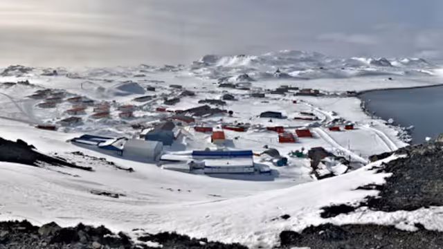 violacionantartica