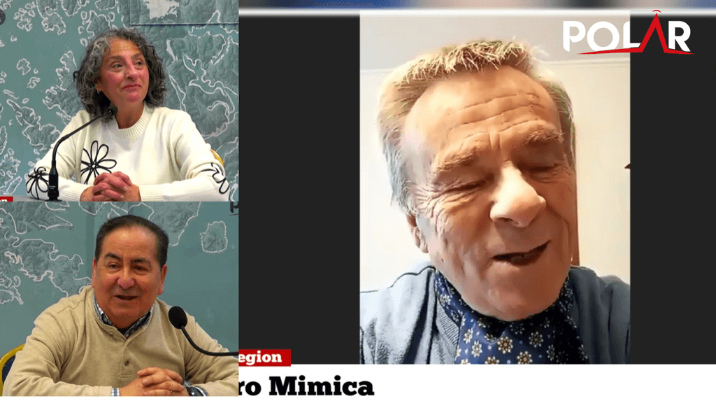sotoaguilantemimica