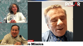 sotoaguilantemimica