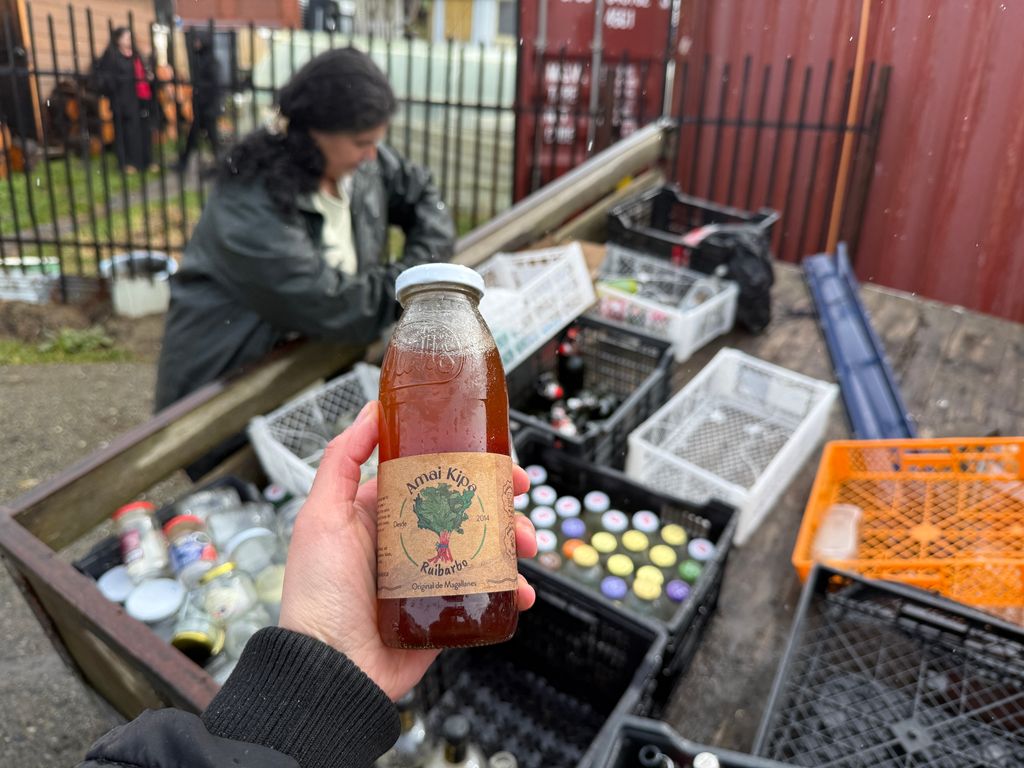 Recicla tus frascos 3 Recicla tus frascos 3