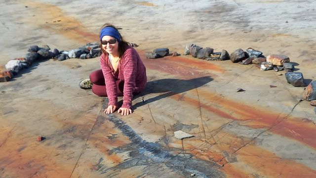 Judith Pardo Judith Pardo