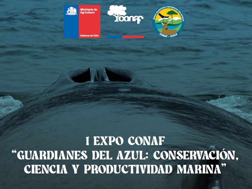 afiche expo conaf Guardianes del Azul afiche expo conaf Guardianes del Azul