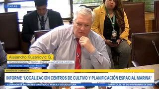 senadorkusanovic senadorkusanovic