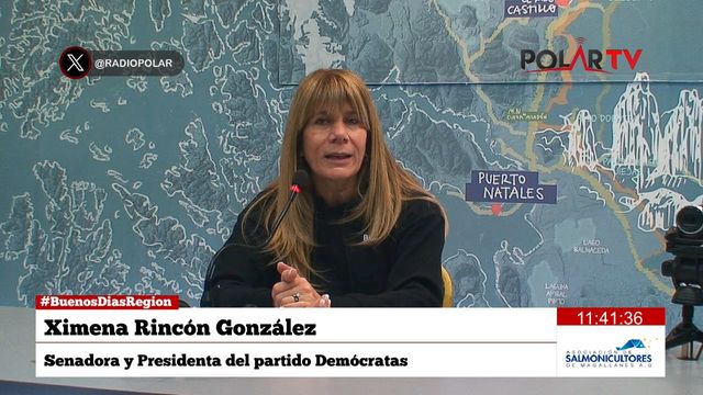 ximena rincon ximena rincon