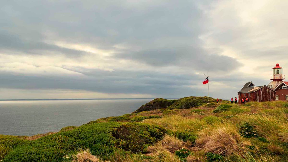 PARQUE NACIONAL CABO DE HORNOS CELEBRA 81 AÑOS COMO UNO DE LOS TERRITORIOS MÁS AUSTRALES Y PRÍSTINOS DE CHILE