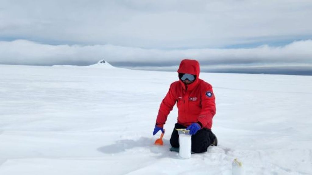 franciscocereceda franciscocereceda