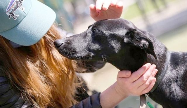 h55241785e5ae10ab21e2 h55241785e5ae10ab21e2