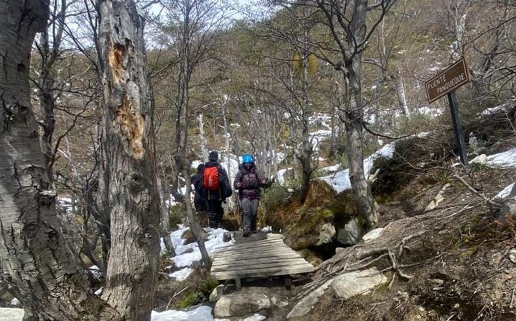 IMG-20251017-WA0034