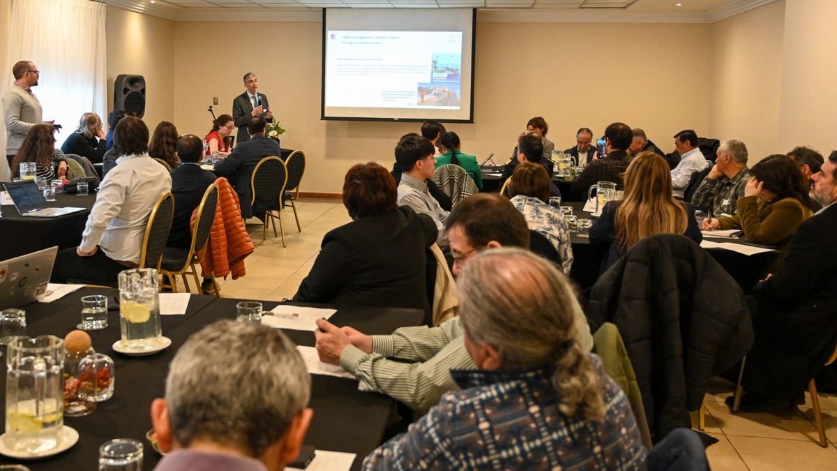 tallerplanterritorialgore