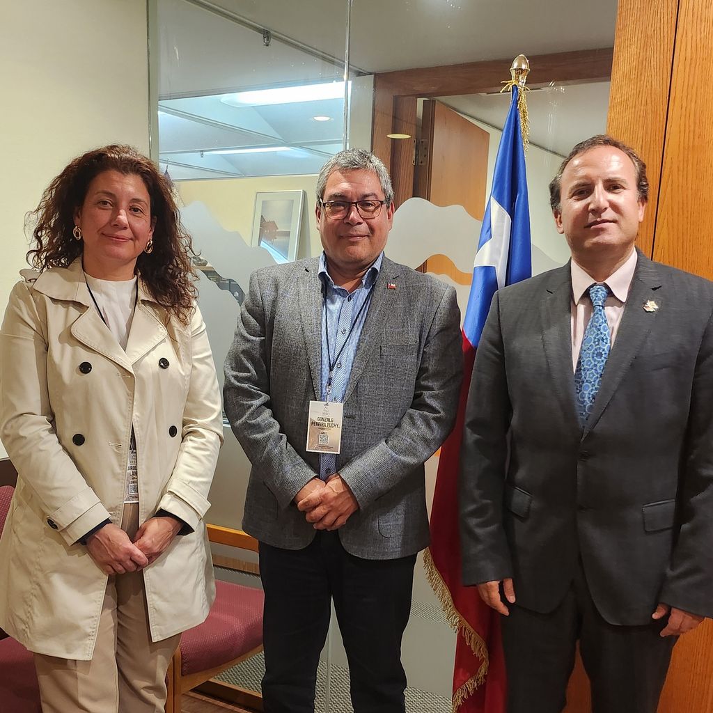 lang y jefe lang y jefe