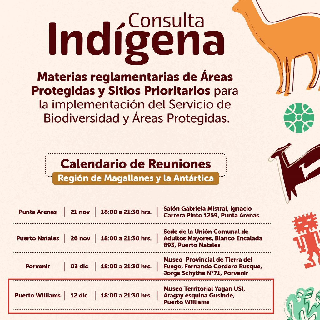 Consulta indigena PUERTO WILLIAMS Consulta indigena PUERTO WILLIAMS