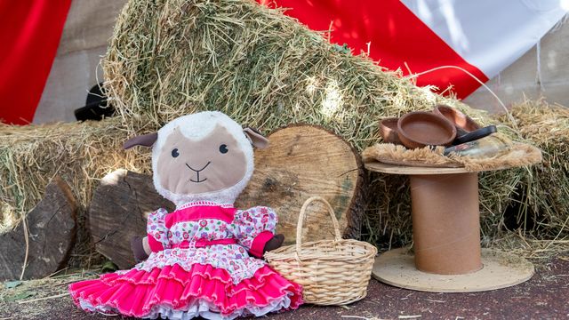 Foto_FiestasPatrias_FundaciónIntegra_3