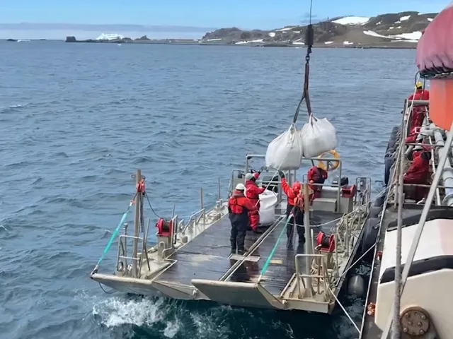 bahiafildes bahiafildes