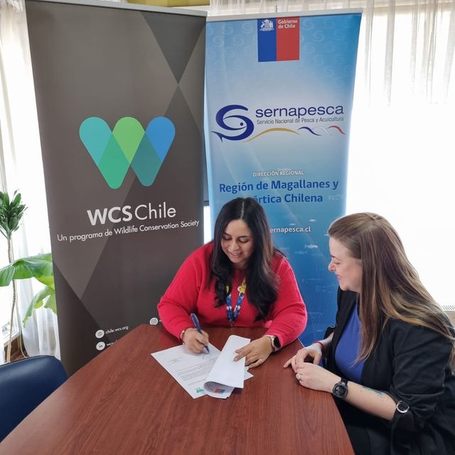sernapescaWCS sernapescaWCS