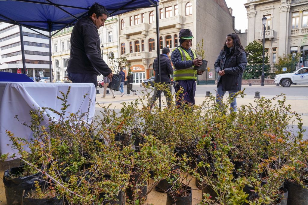 Día de los Bosques (2) Día de los Bosques (2)