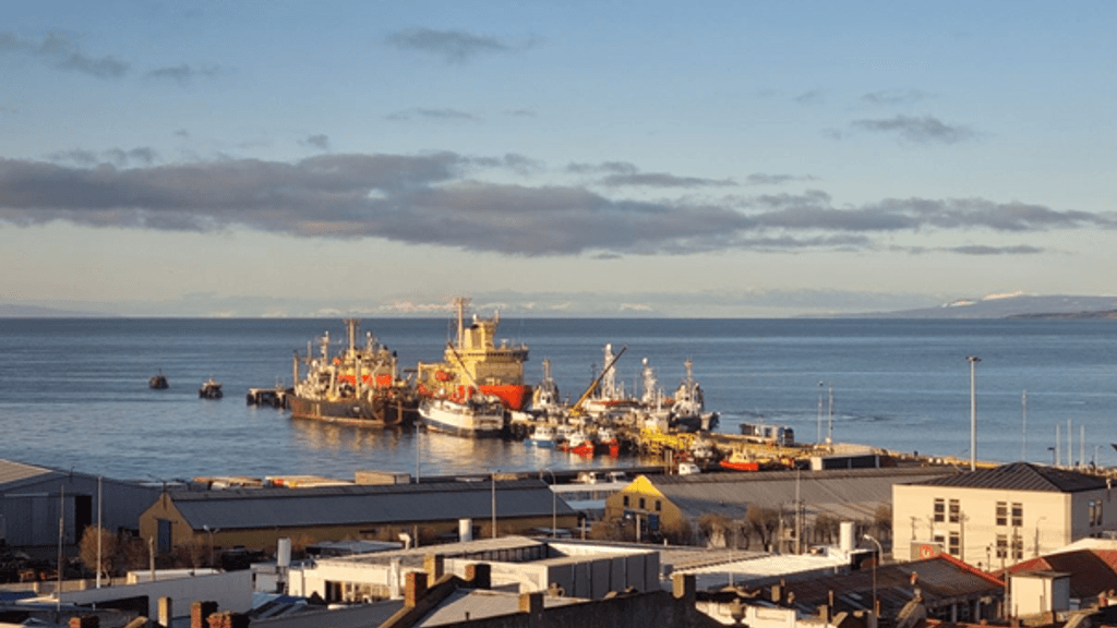 TL Noviembre2024_OLM TL Noviembre2024_OLM