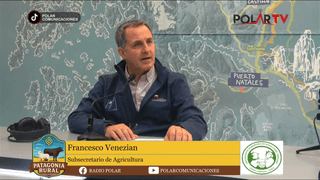 Francisco Venezian