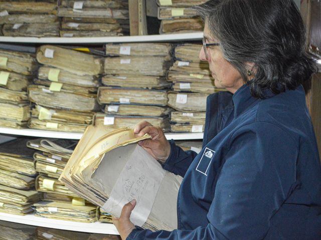 LAURA CAROCA LAURA CAROCA