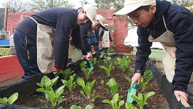 Foto huertos 1 Foto huertos 1