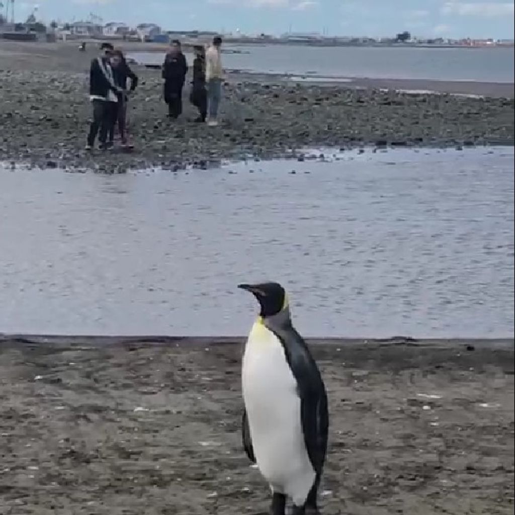 Imagen de WhatsApp 2024-12-16 a las 16 Imagen de WhatsApp 2024-12-16 a las 16