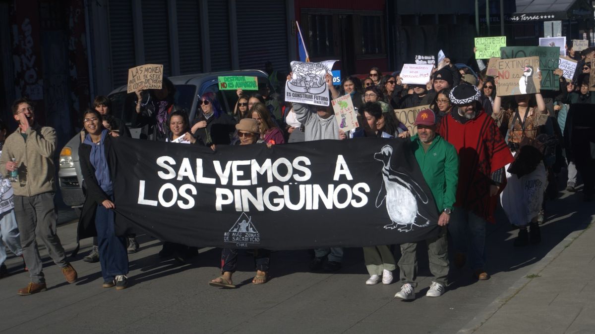 manifestación manifestación