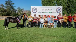 aguaclaradehuelquen