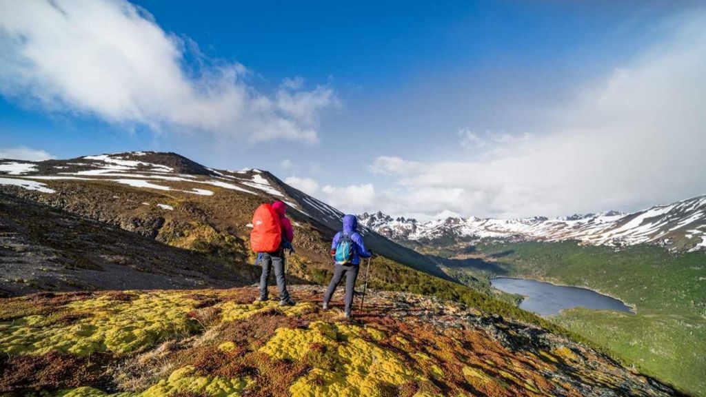 Dientes_de_Navarino Dientes_de_Navarino