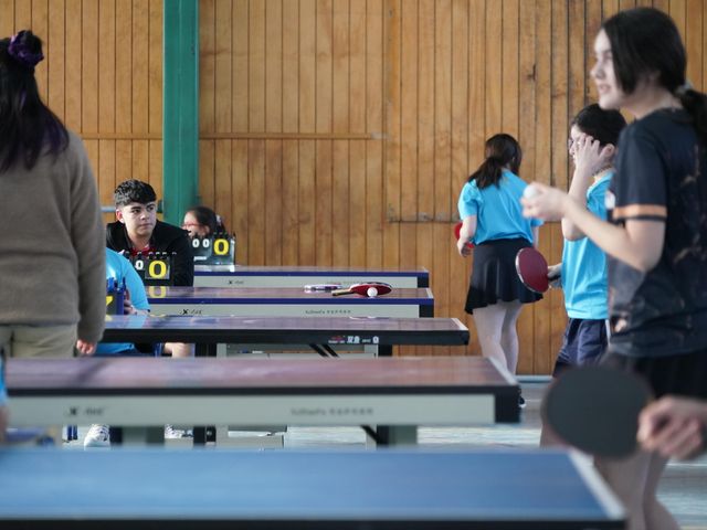 RANKING MUNICIPAL DE TENIS DE MESA (6) RANKING MUNICIPAL DE TENIS DE MESA (6)