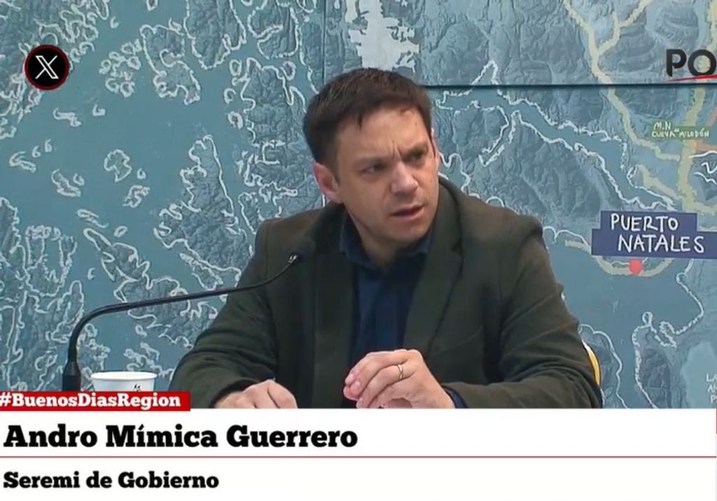 amimmica amimmica