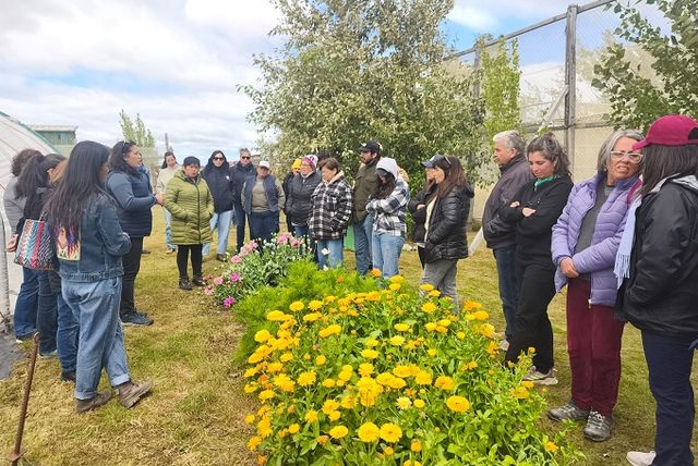 WhatsApp Image 2026-02-12 at 16